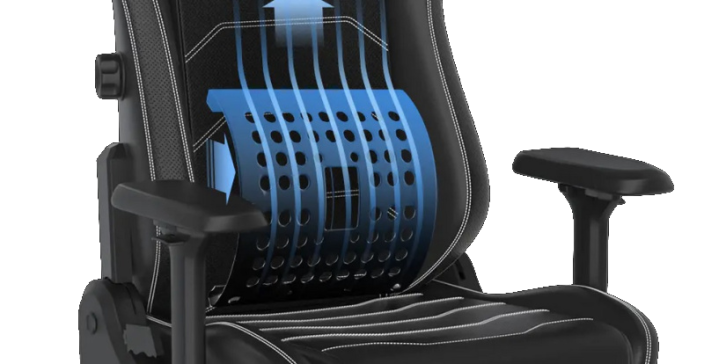 Herní židle DXRacer MASTER GC/XLMF23LTD — více barev - Vyberte variantu: Černobílá (1051931)