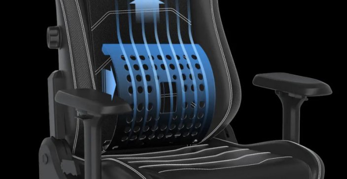 Herní židle DXRacer MASTER GC/XLMF23LTD — více barev - Vyberte variantu: Černobílá (1051931)