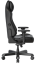 Herní židle DXRacer MASTER GC/XLMF23LTD — více barev - Vyberte variantu: Černobílá (1051931)