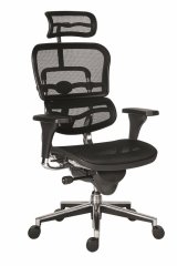 Kancelářská židle ANTARES Ergohuman — černá