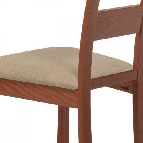 Jídelní židle Autronic BC-2603 — více barev - Brevné variany: Ořech