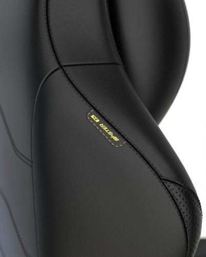 Herní židle DXRacer MASTER GC/XLMF23LTD — více barev - Vyberte variantu: Černobílá (1051931)